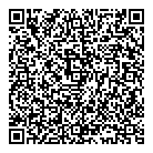 Blast Radius Inc QR Card