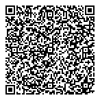 Emv Holdings Corp QR Card