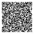 Virgin Mobile QR Card