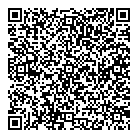 Api Alarm Inc QR Card