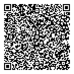 Regulus Resources Inc QR Card