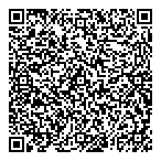 X L Insurance Co Ltd QR Card