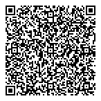 Barsele Minerals Corp QR Card