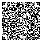 Willis Louie Ltd QR Card