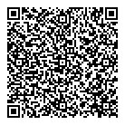 Salon Storm QR Card