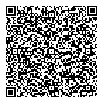 Pkf Consulting Inc QR Card