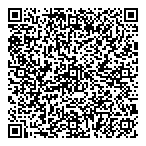 Blue Stone Consulting Inc QR Card