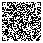 Visions Electronics QR Card