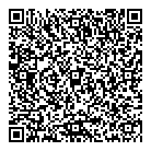 Analysisworks Inc QR Card