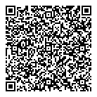 Mnp LLP QR Card