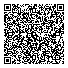 All In Limousines QR Card