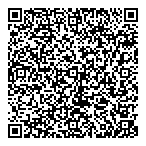 Visas Consulting Group Inc QR Card
