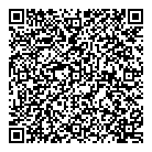 Rapid Roofing QR Card