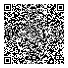 Dvi Tech QR Card