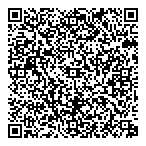 Financial Strageties Inc QR Card