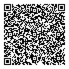 Polygon Consulting QR Card