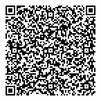 Densan Consultants Ltd QR Card