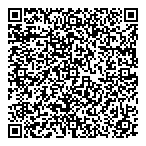 Laidy  Ray Consulting Inc QR Card