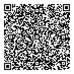 Network Security Systems QR Card