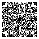 Government Cars QR Card