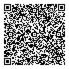 Origyns Medical QR Card