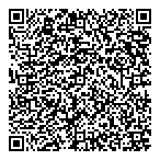 Orbis Risk Consulting QR Card