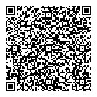 V  I Group Inc QR Card