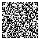 Mvs Systems Inc QR Card