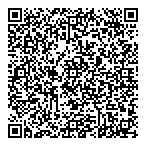 Diresco Consulting Inc QR Card