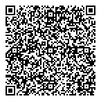 Lv Accounting Solutions QR Card