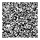 Ms Methodical QR Card