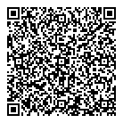 Online Geekz QR Card