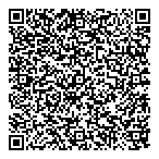 Big Dog Solutions Ltd QR Card