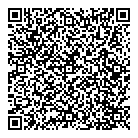 Mnp LLP QR Card