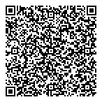 Pajari Instruments Ltd QR Card