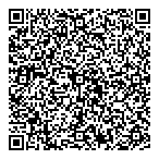 P L Lesa Assoc Ltd QR Card