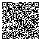 Georgian Satellite QR Card