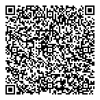 Northern Skys Aircraft Services QR Card