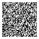 Angelis Consulting QR Card