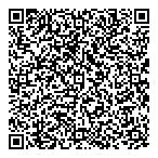 Blitz Business Success QR Card