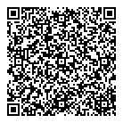 Central Lock  Key QR Card