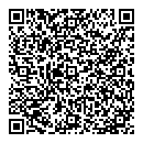 Dsi QR Card