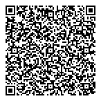 Regional Ndt Services QR Card