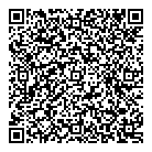 Dawe Stan Ltd QR Card