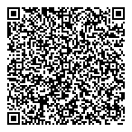 Bluesky Business Consulting QR Card