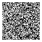 Vicis Technology Ca Inc QR Card