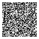 Wise Guys Car Wash QR Card