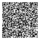 Rvs Consulting QR Card