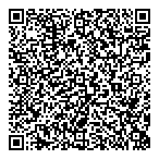 Blue Skies Blast Paint Ltd QR Card