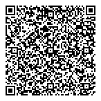 Edmonton Nerf Parties QR Card